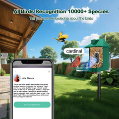 Vatjubi Bird Feeder Camera night vision for after-dark birdwatching
