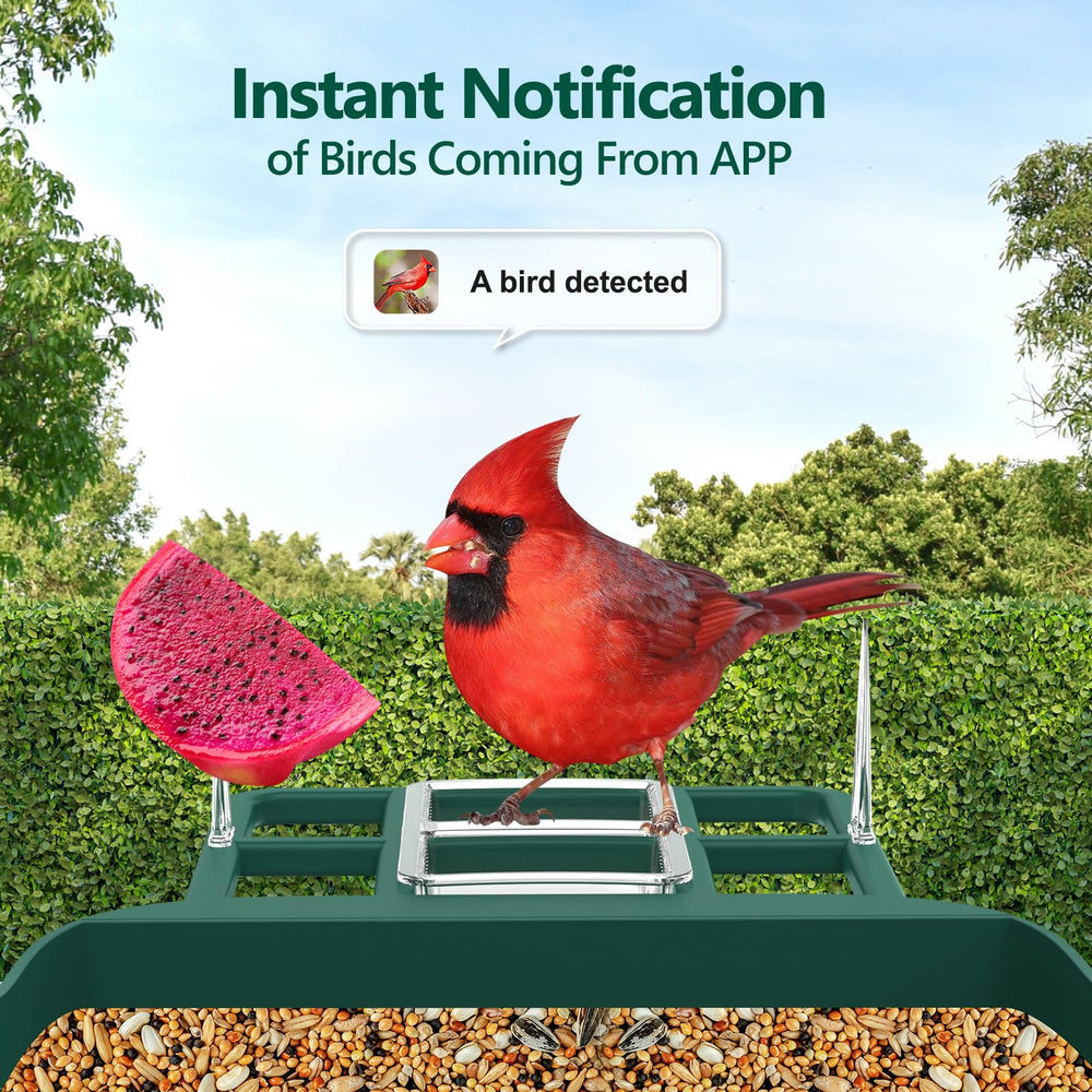 Vatjubi Bird Feeder Camera WiFi setup for seamless live streaming