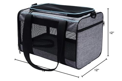 Vceoa carrier with mesh windows for fresh air and visibility.
