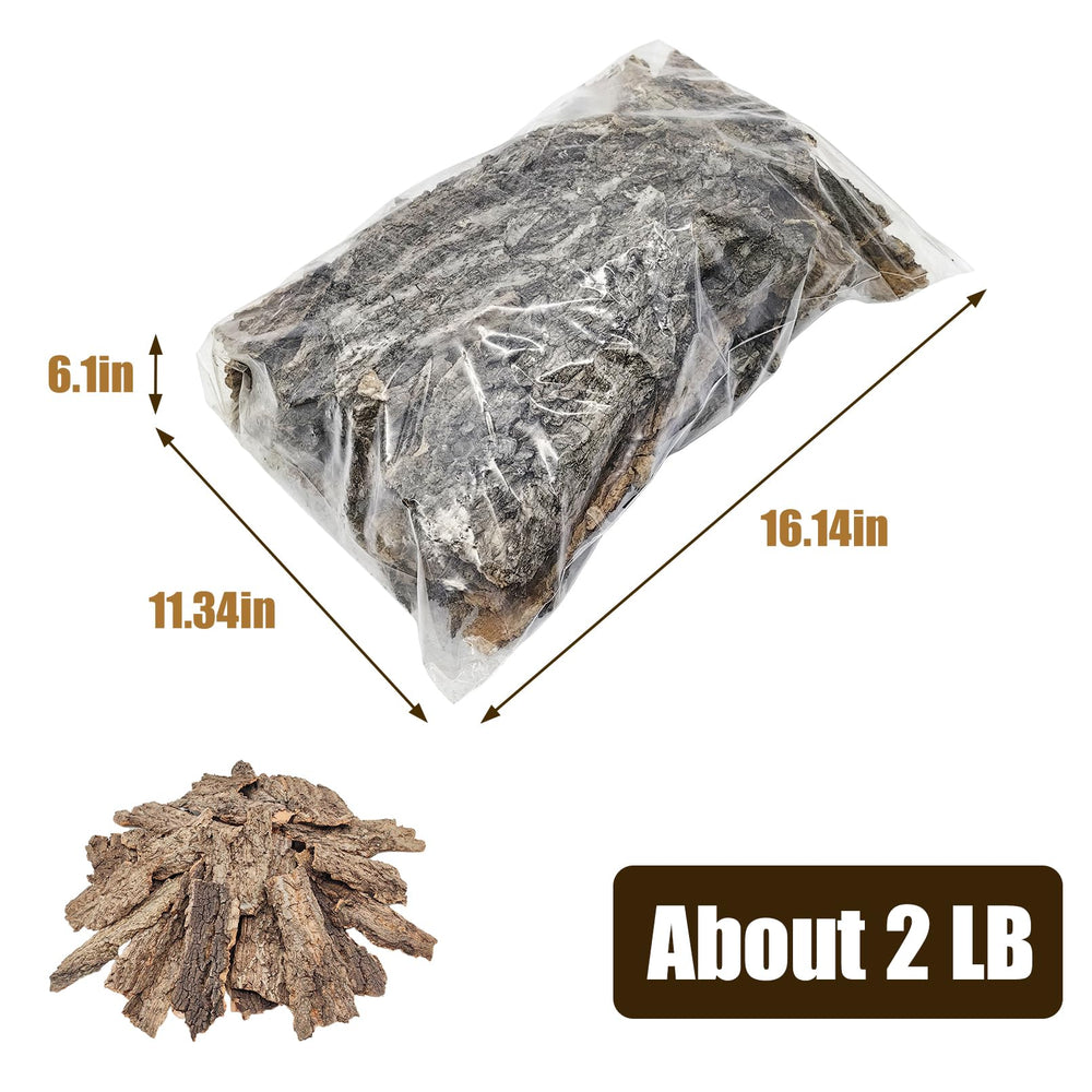 VCEPJH cork bark backdrop idea for creative terrarium decor.