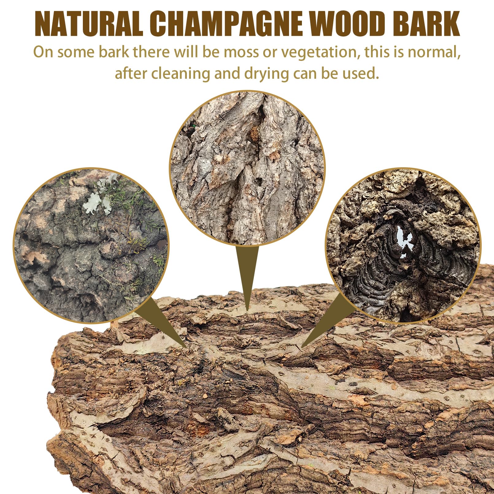 VCEPJH cork bark fragrance shot suggests wild ambience for calmer reptiles.