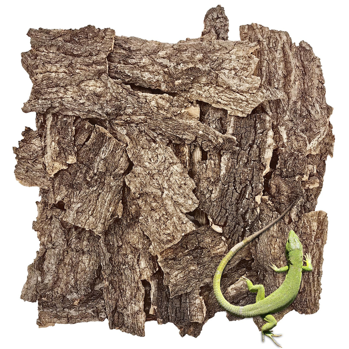 VCEPJH Reptile bark 2LB pack provides safe, comfortable terrarium setup.