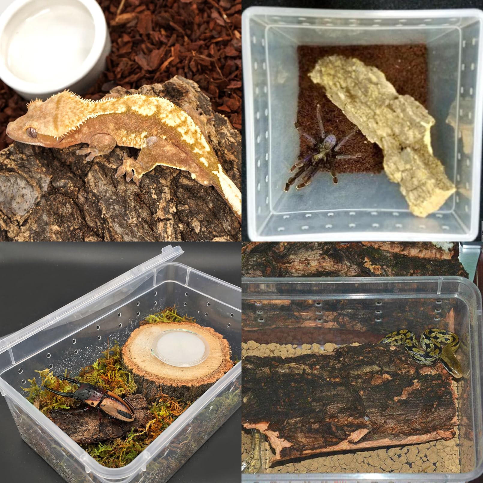 VCEPJH bark in tank promotes climbing space for reptiles.