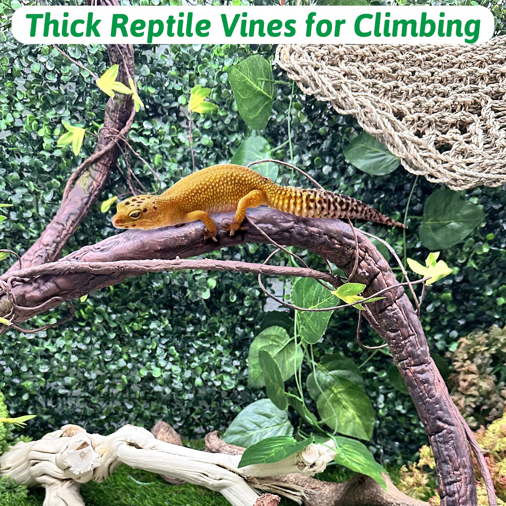 VCEPJH reptile vines green leaf cluster showcases natural greenery for hiding spots.