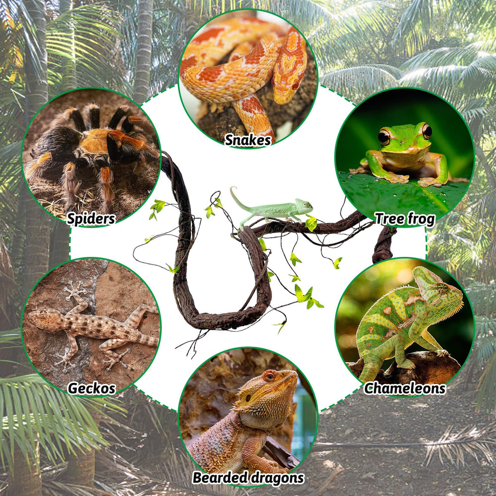 VCEPJH reptile vines in large tank illustrate space-efficient decor for reptiles.