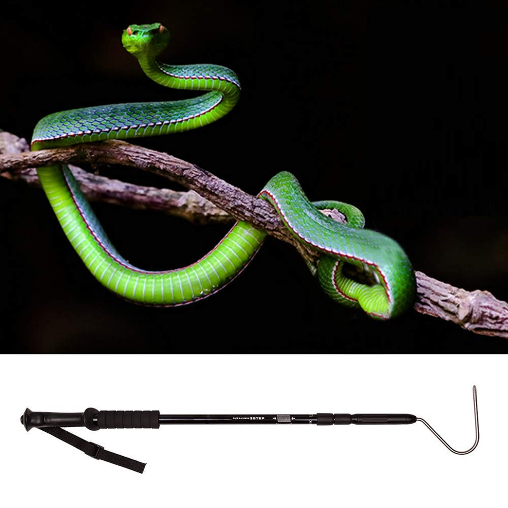 V-CHEETONG suitable for small snakes like corn and green snakes.