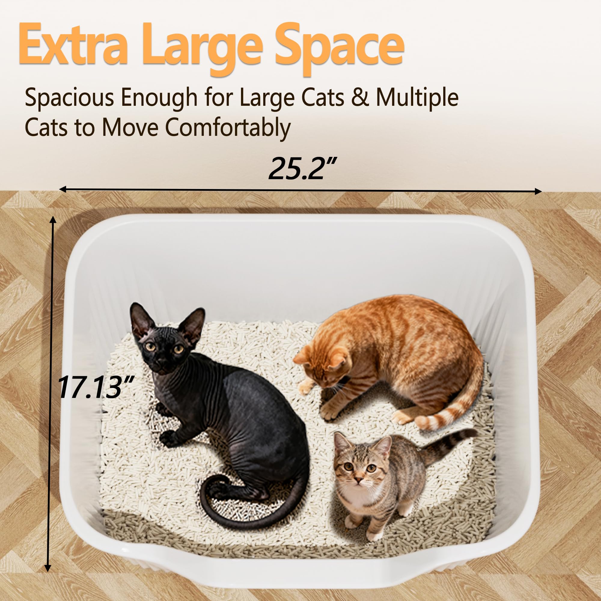 Vealind 2XL dual box layout emphasizes shared use for multiple cats