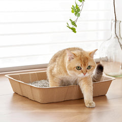 Vealind cardboard litter tray made from 100% recycled paper supports eco-friendly disposal