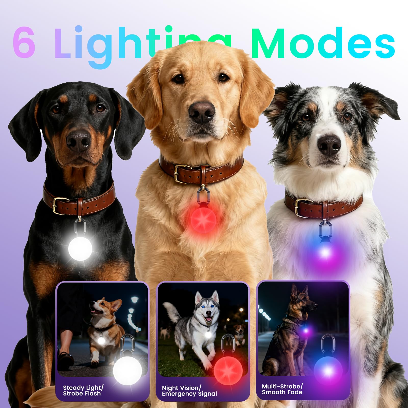 Vebiso 2-in-1 GPS tracker dog light IP68 waterproof design withstands rain and snow