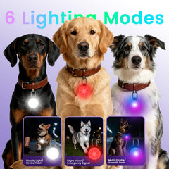 Vebiso 2-in-1 GPS tracker dog light IP68 waterproof design withstands rain and snow