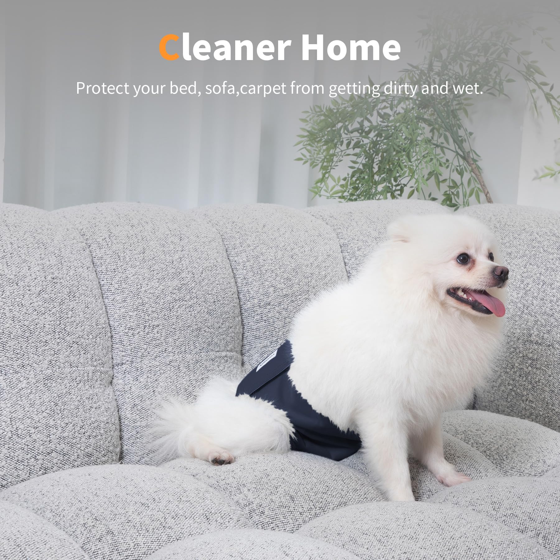 Vecomfy belly band worn on a dog demonstrating easy-on wrap design and mess reduction