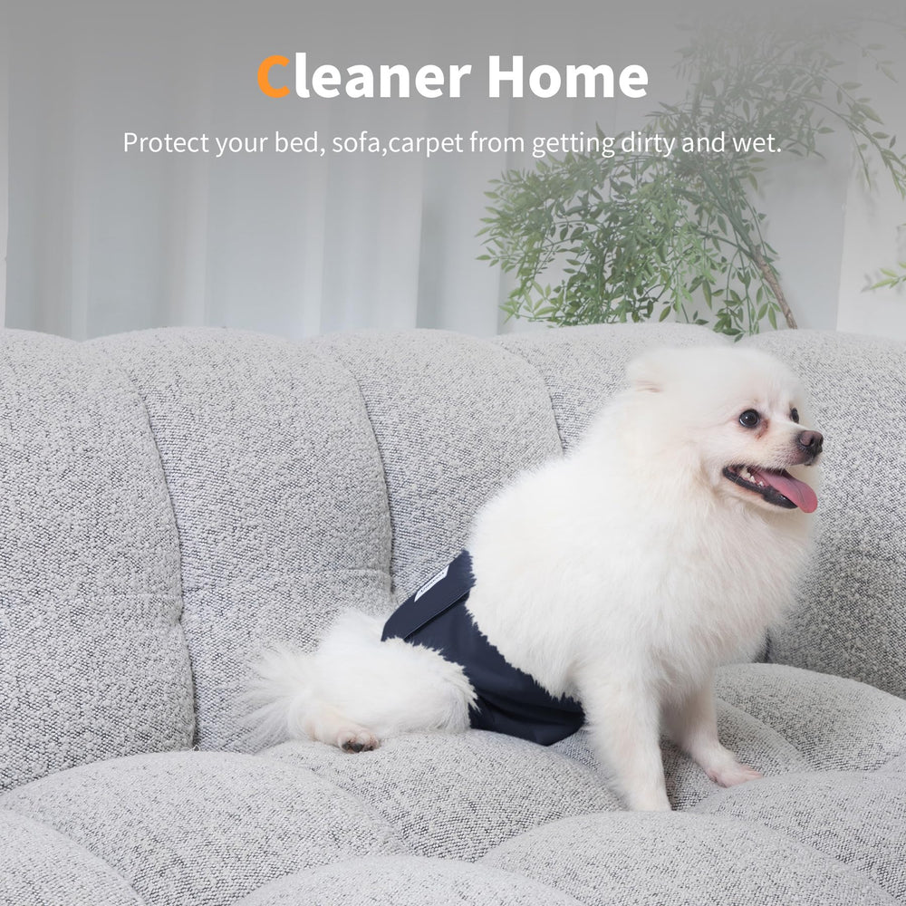 Vecomfy belly band worn on a dog demonstrating easy-on wrap design and mess reduction