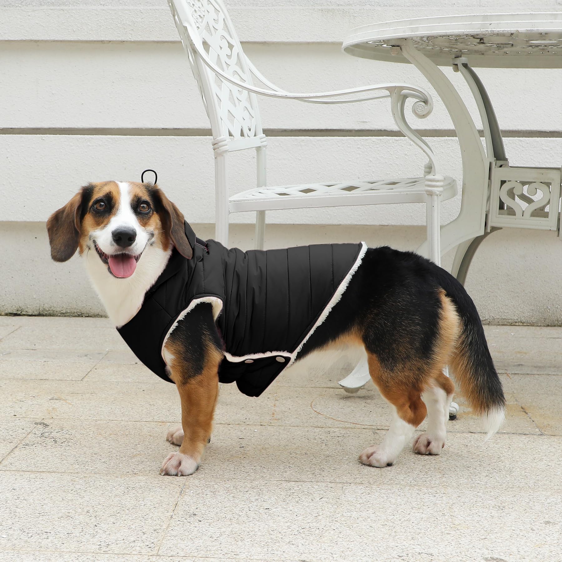 Vecomfy black small-dog hoodie back detail showcasing sleek design and coverage
