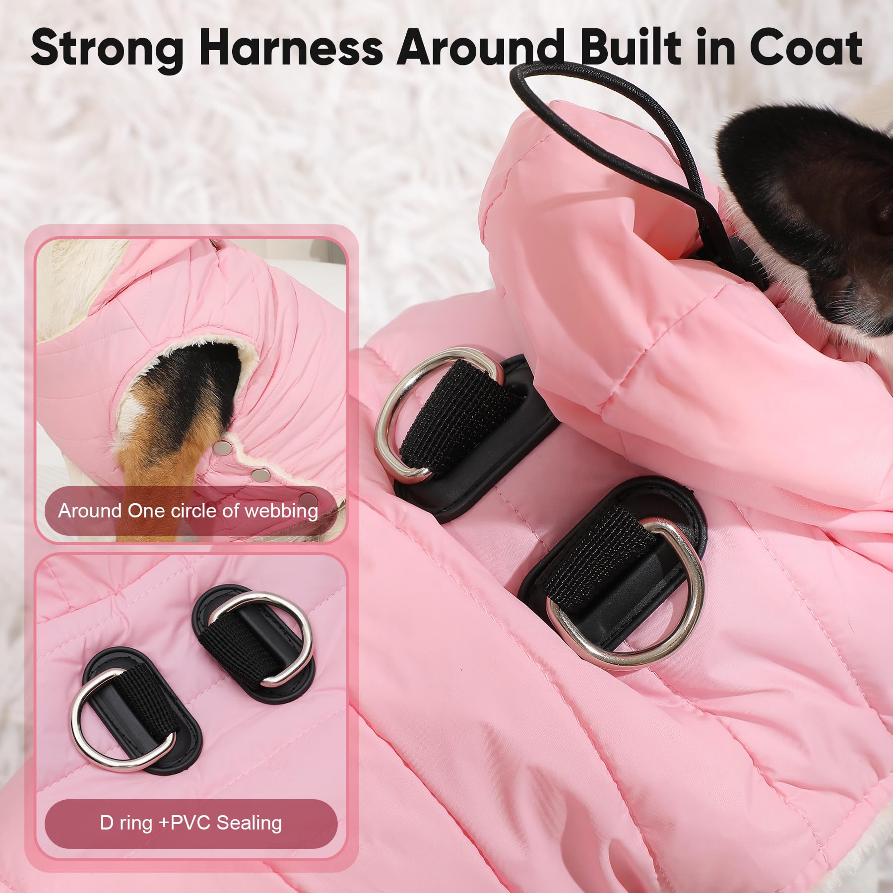 Vecomfy built-in harness on back view demonstrates secure daily walking