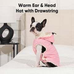 Vecomfy chest harness with D-rings demonstrates sturdy control for small dogs.