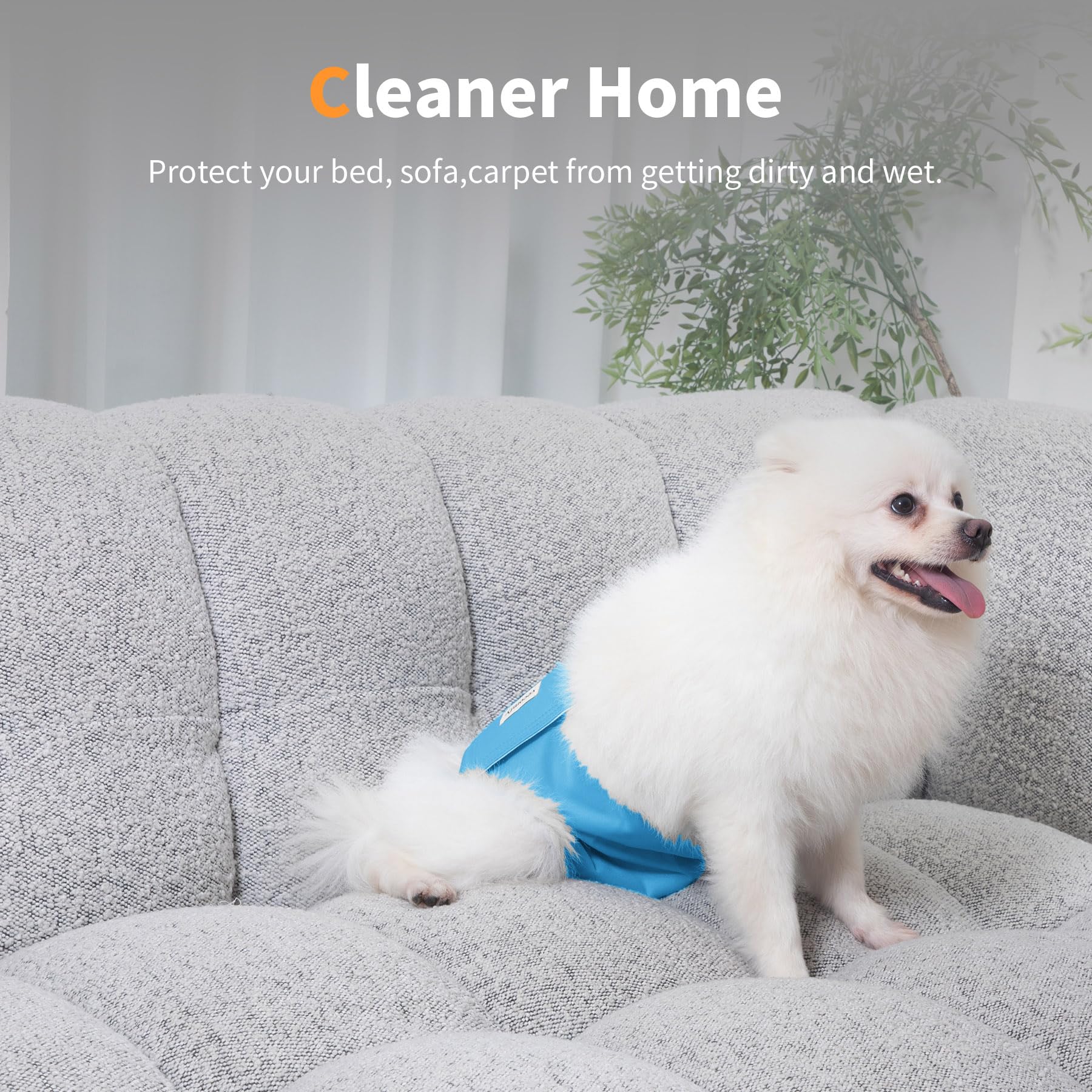 Vecomfy dog belly band packaged-5-size-m image for best fit guidance on waist measurement