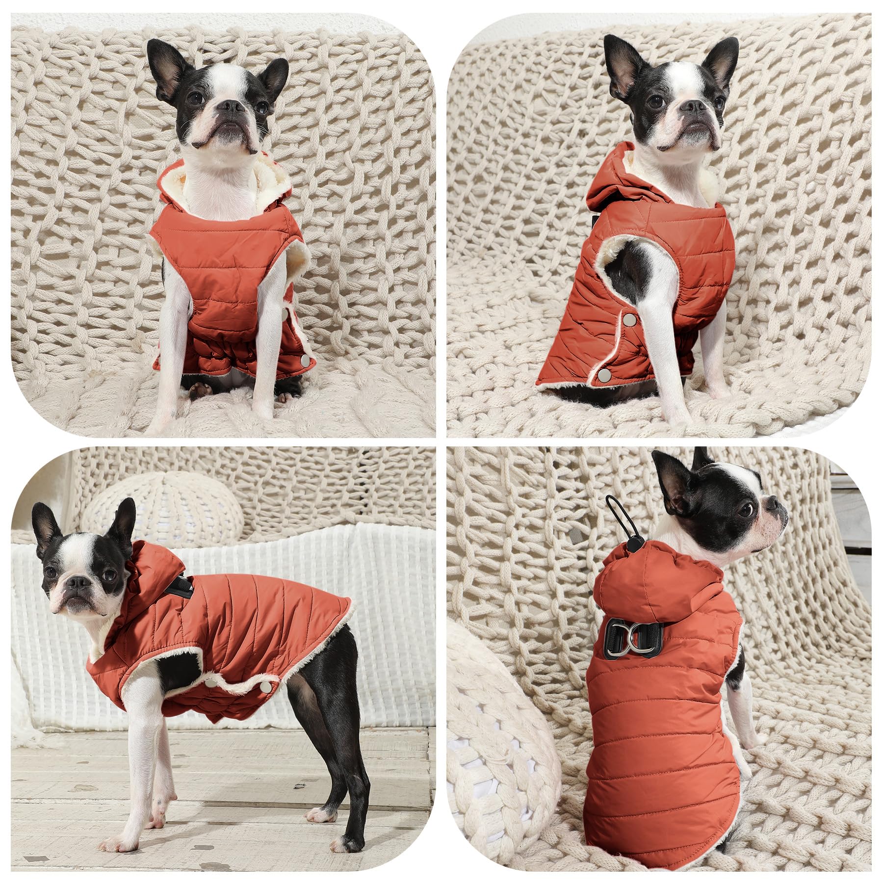 Vecomfy orange hoodie breathable fabric keeps pups comfortable on damp days