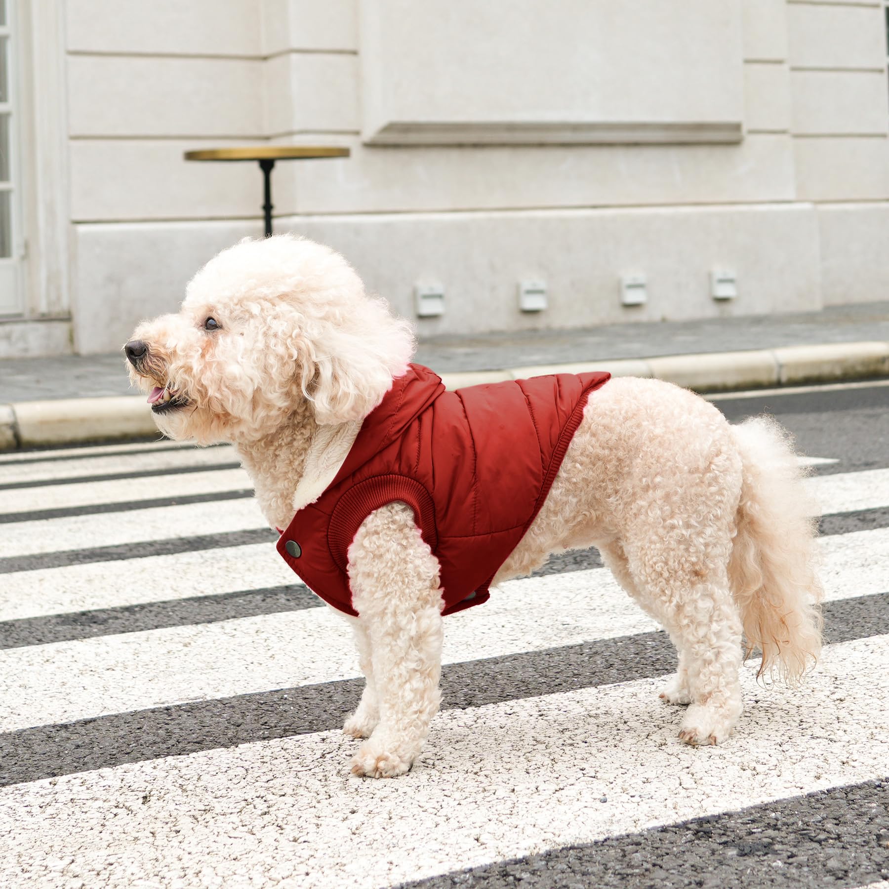 Vecomfy fleece-lined hoodie easy-on snaps and elastic edges