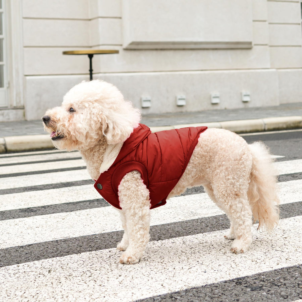 Vecomfy fleece-lined hoodie easy-on snaps and elastic edges