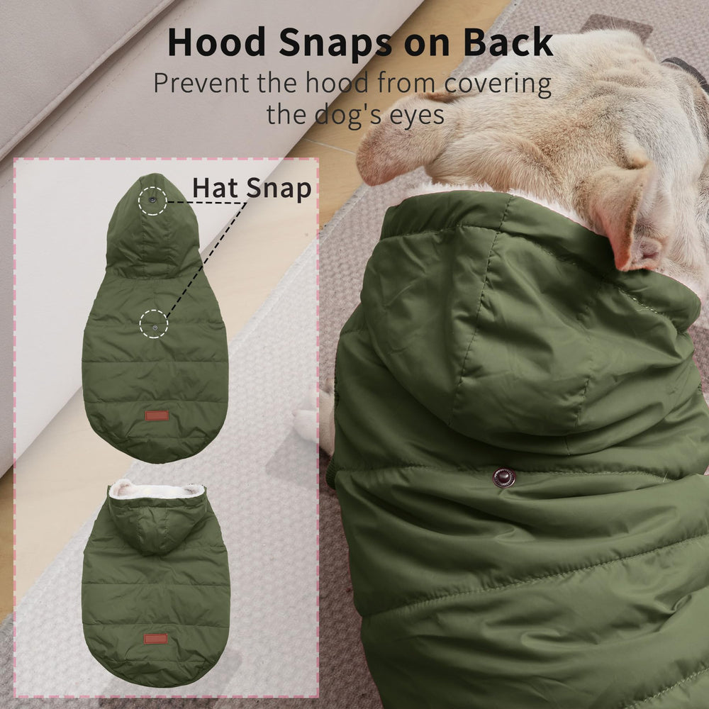 Vecomfy dog-hoodie-green-xxl-front-view provides cozy protection during chilly strolls.