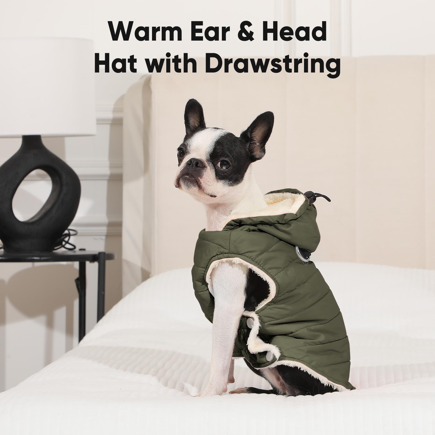 Vecomfy dog hoodie harness-built-in front view demonstrates sturdy chest anchor for safe leashing