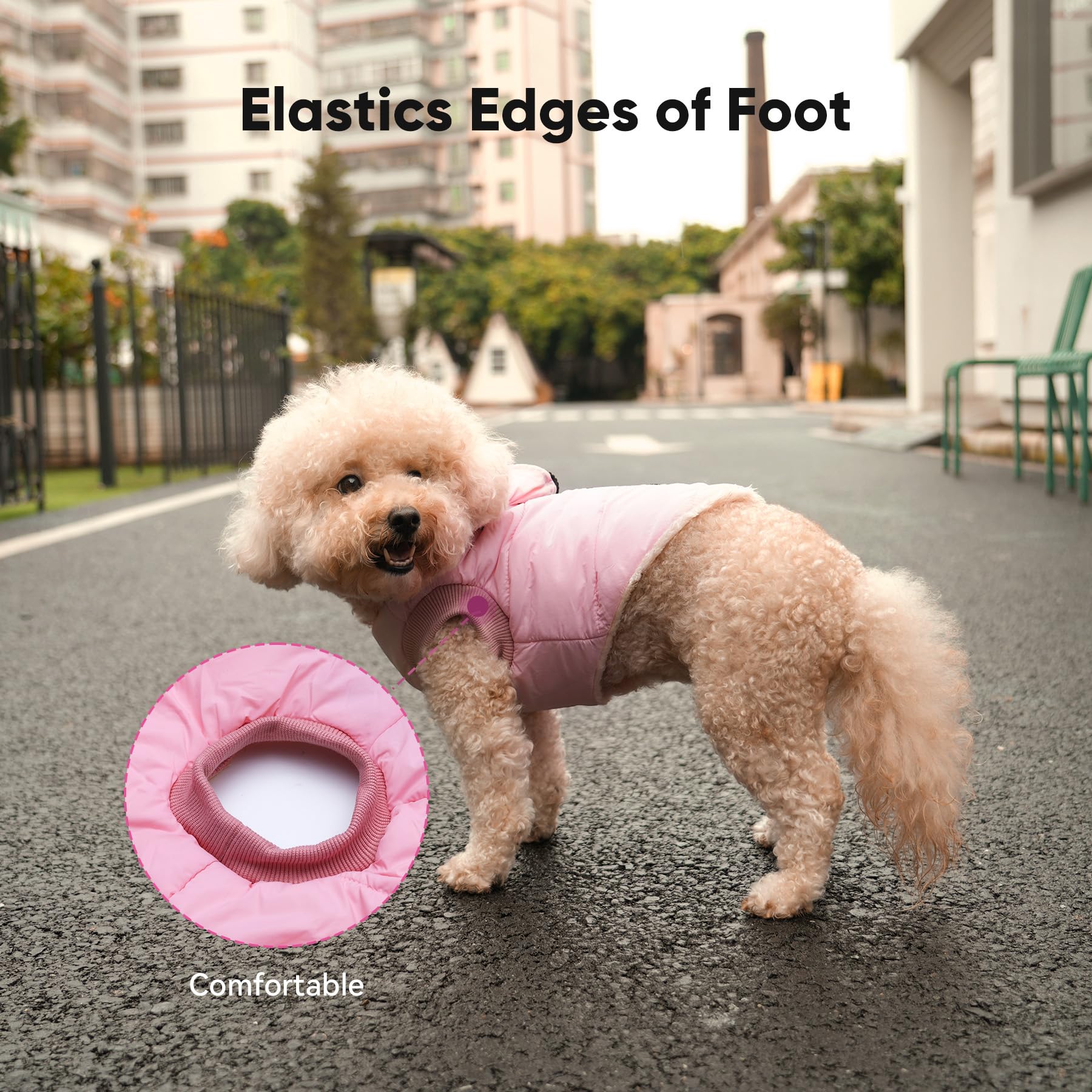 Vecomfy hooded dog coat showing convertible shawl feature for extra warmth.