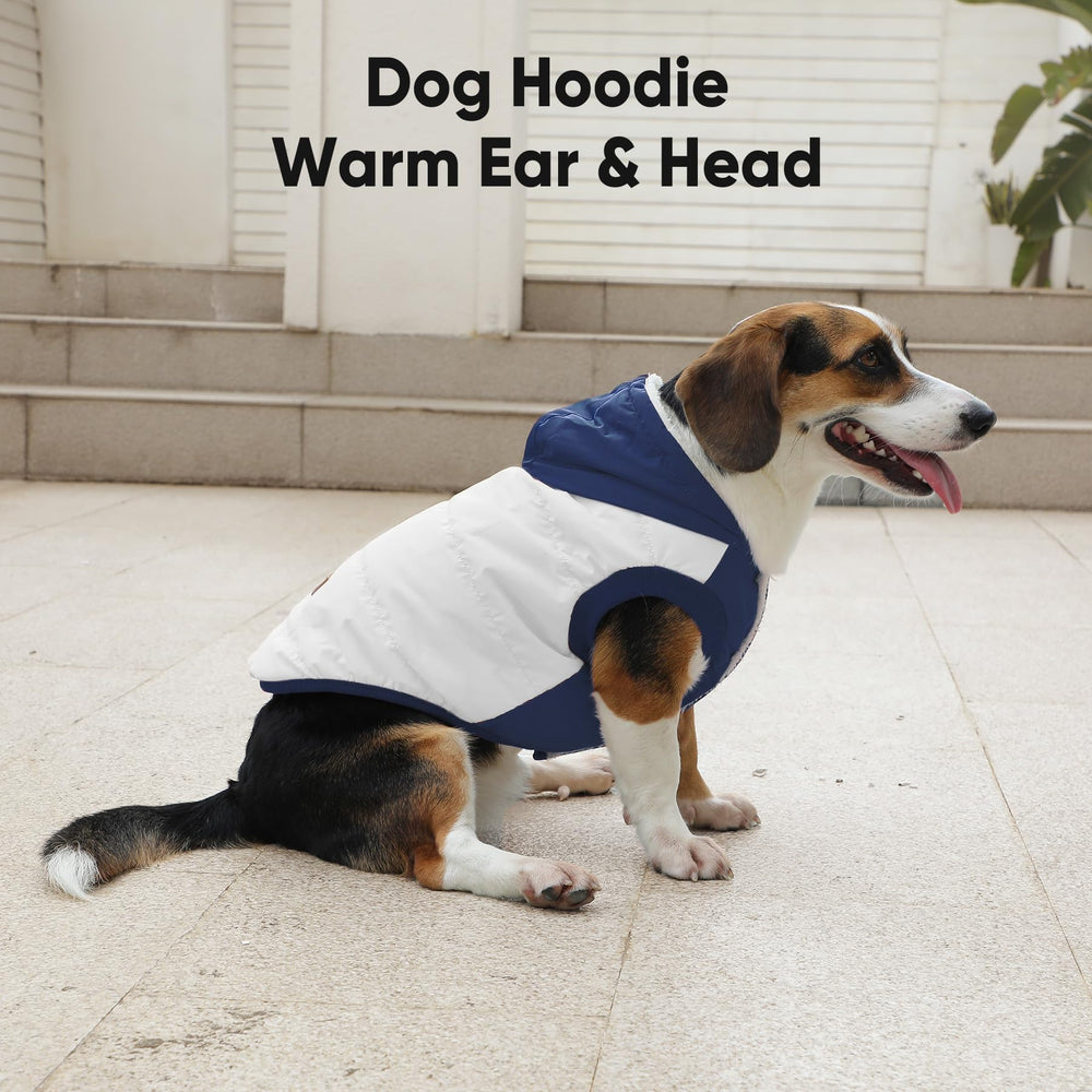 Vecomfy leash-hole hoodie image demonstrates convenient access for daily walks