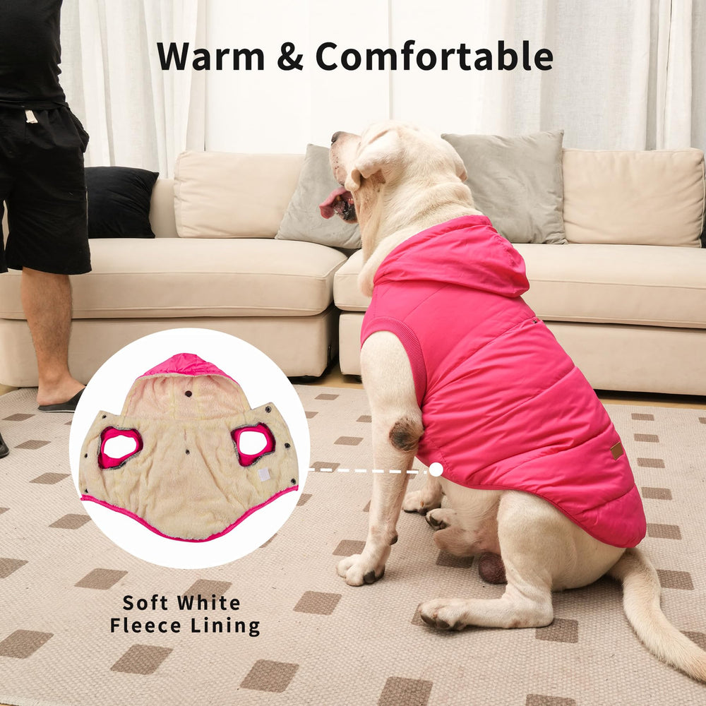 Vecomfy dog hoodie with leash hole ready for strolls and training.
