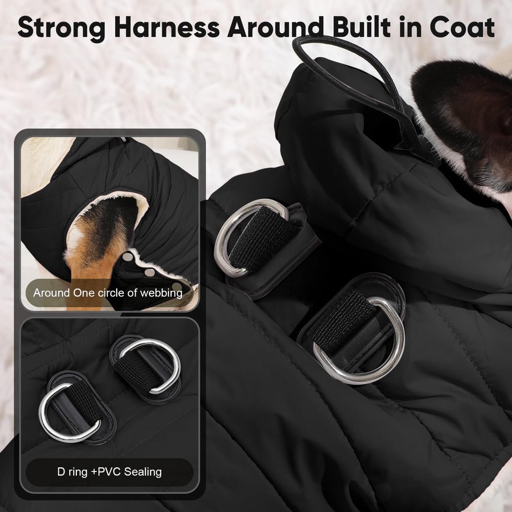 Vecomfy dog jacket front view showing integrated harness attachment.