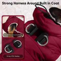 Vecomfy drawstring hooded dog jacket with adjustable wind protection.