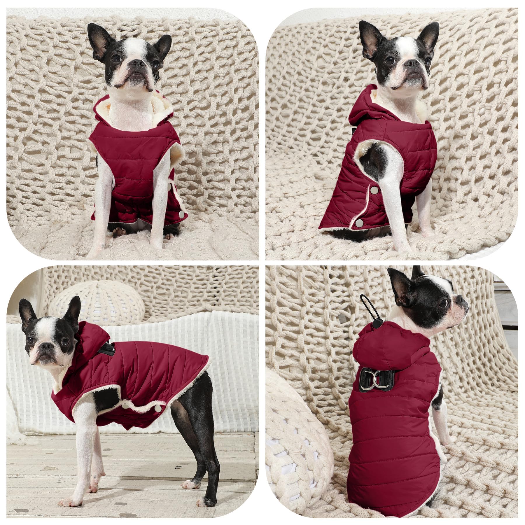 Vecomfy elastic abdomen and snaps enable easy on-off during chilly walks.