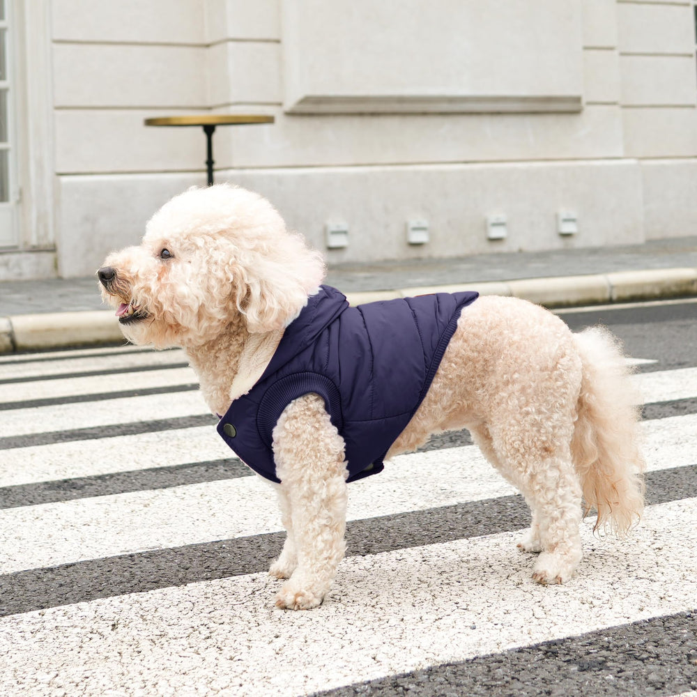 Vecomfy fleece-lined dog hoodie blue XXXL during a cold winter walk