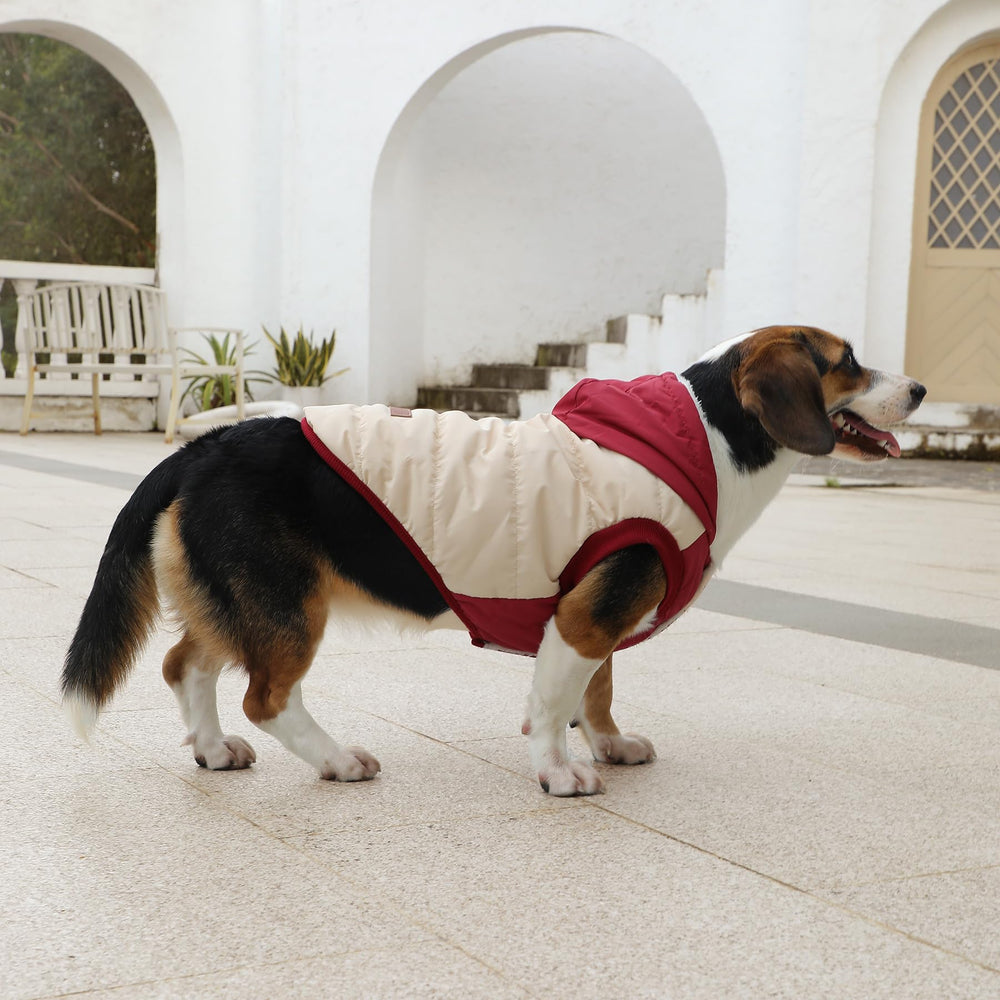 Vecomfy fleece-lined hoodie packaged for retail display.