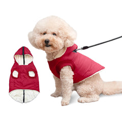 Vecomfy fleece-lining dog hoodie worn by a small dog, securing warmth and comfort