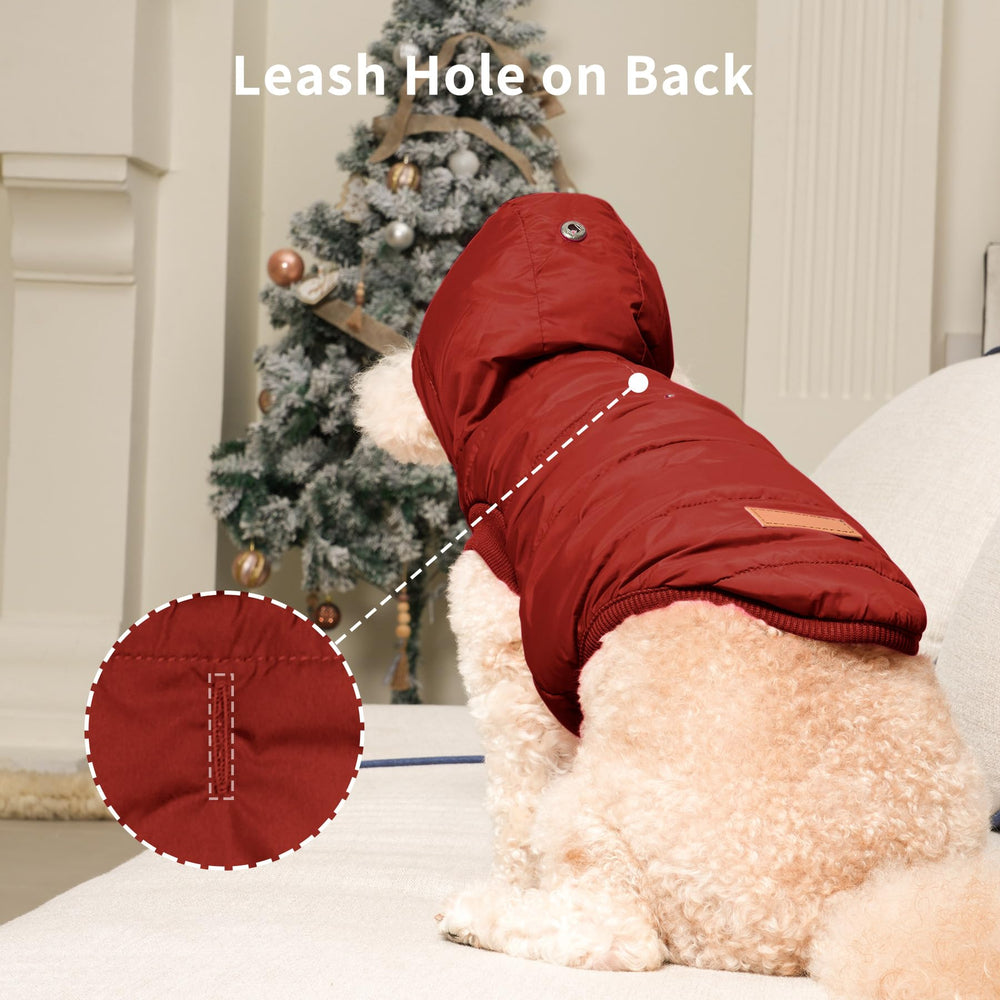 Vecomfy leash-hole detail shows easy leash access for outdoor walks.
