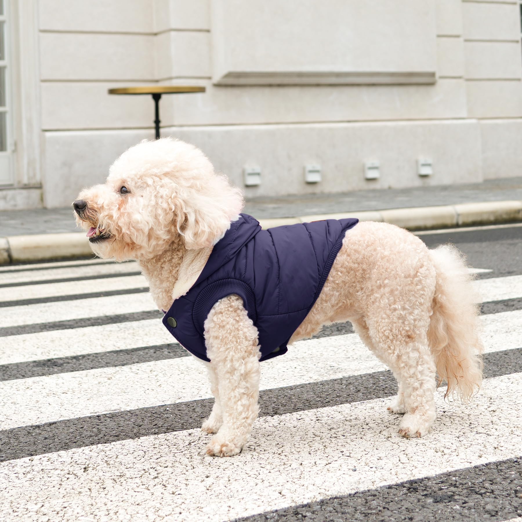 Vecomfy hoodie worn on a snowy walk illustrating practical warmth and comfort.