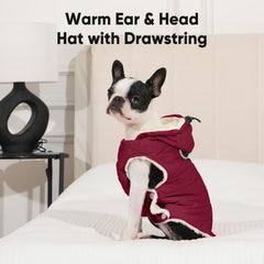 Vecomfy harness-built-in design showing secure two D-rings for outings.