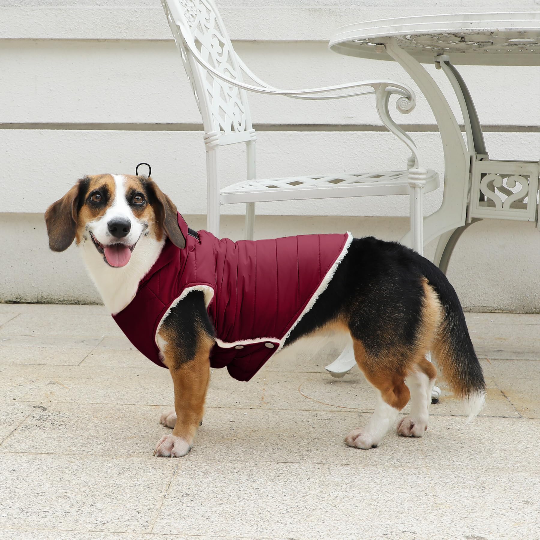 Vecomfy harness-dominant design close-up demonstrates sturdy chest-point support for daily use.