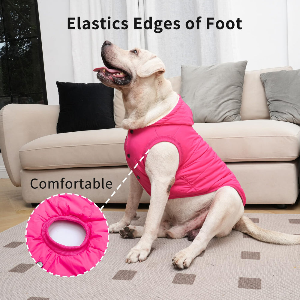 Vecomfy leash hole neck design detail for secure leash attachment