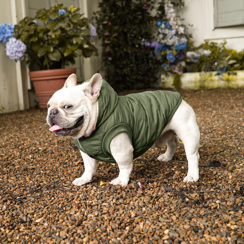 Vecomfy leash hole at neck enables leash attachment during walks