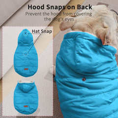 Vecomfy light blue hoodie on dog outdoors shows cozy warmth during walks