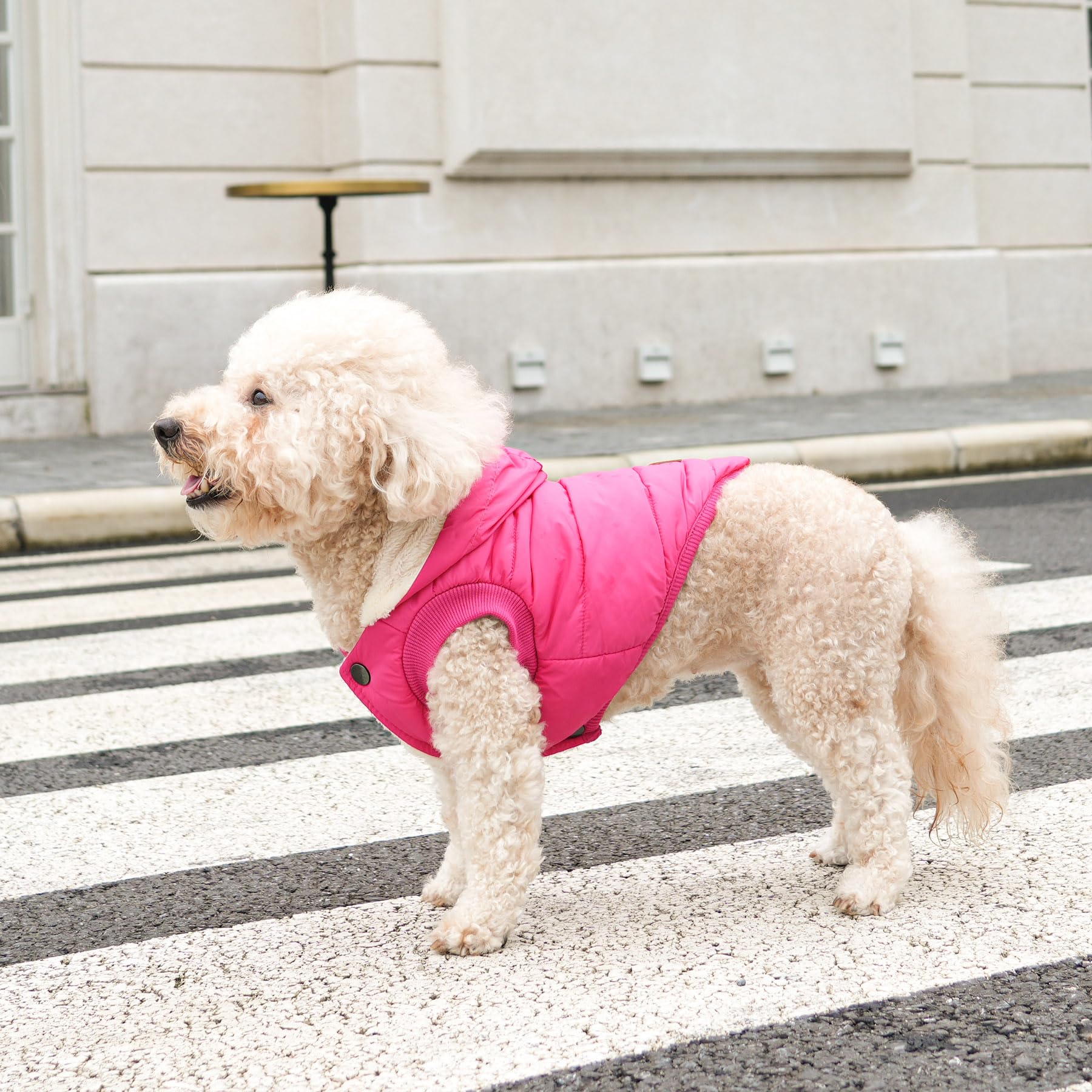 Vecomfy pink XS hoodie hood detail for ear protection