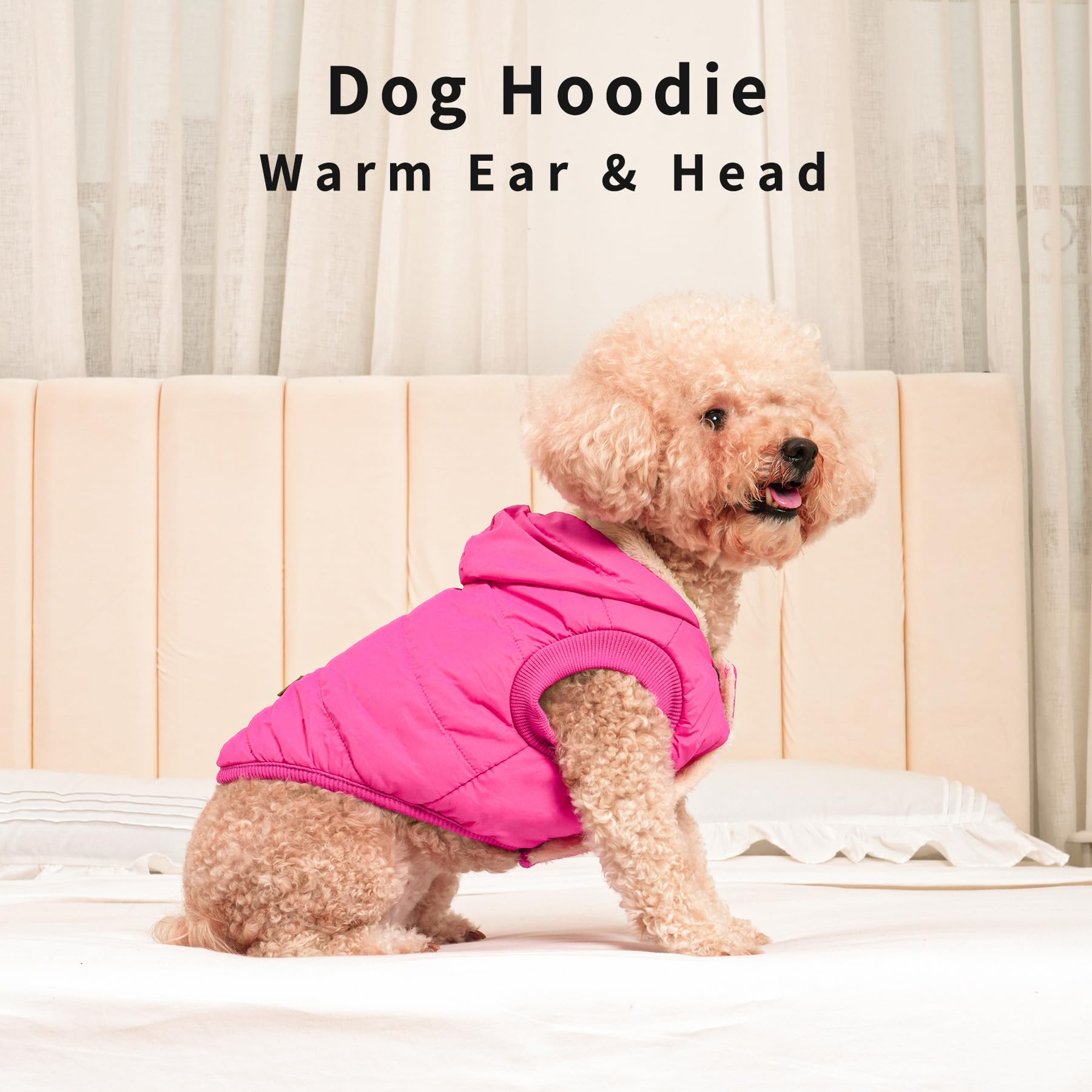 Vecomfy pink XS hoodie worn on a small dog in winter scene