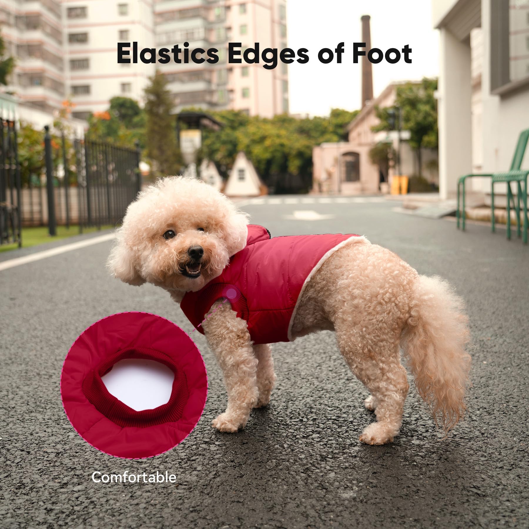 Vecomfy red XXL dog coat image highlights bold winter outerwear