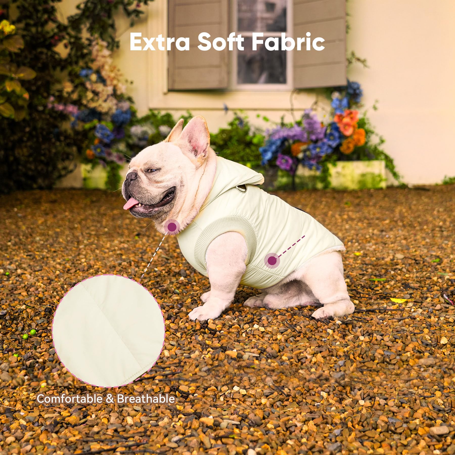 Vecomfy small-dog size chart chest guide helps accurate fitting.