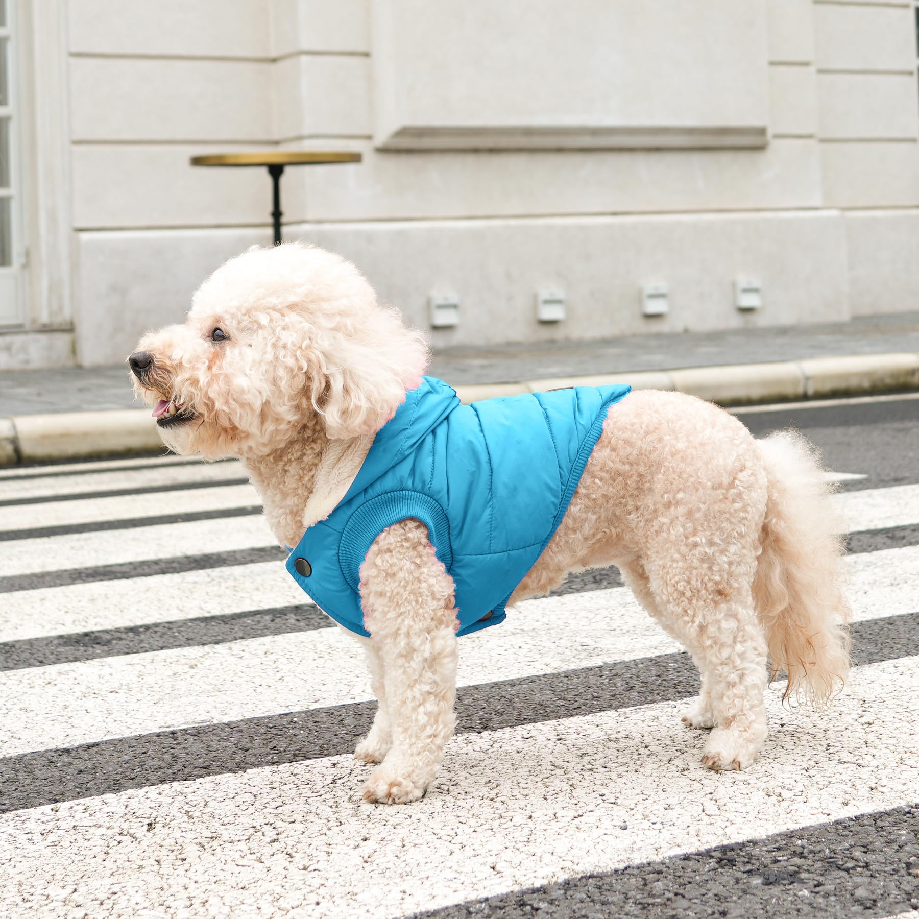 Vecomfy leash-hole design allows quick leash access without removing hoodie