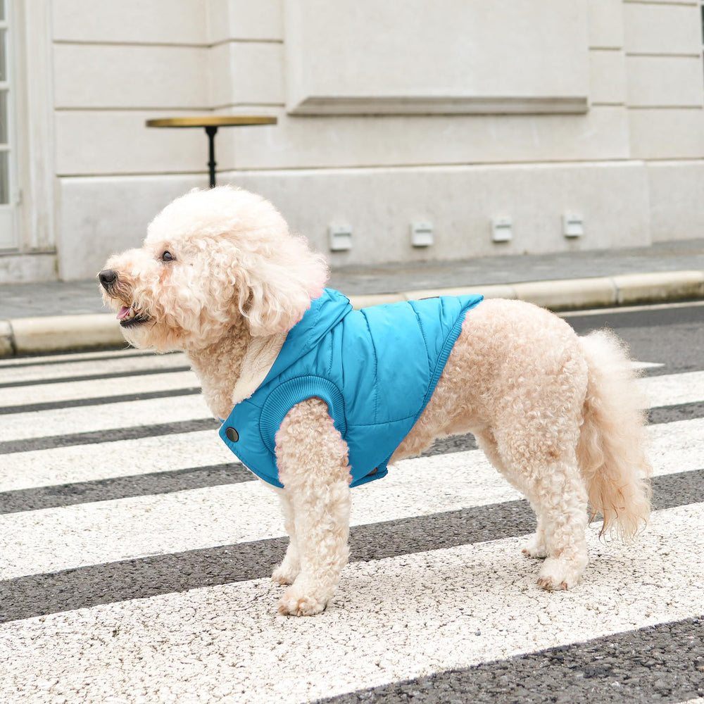 Vecomfy leash-hole design allows quick leash access without removing hoodie