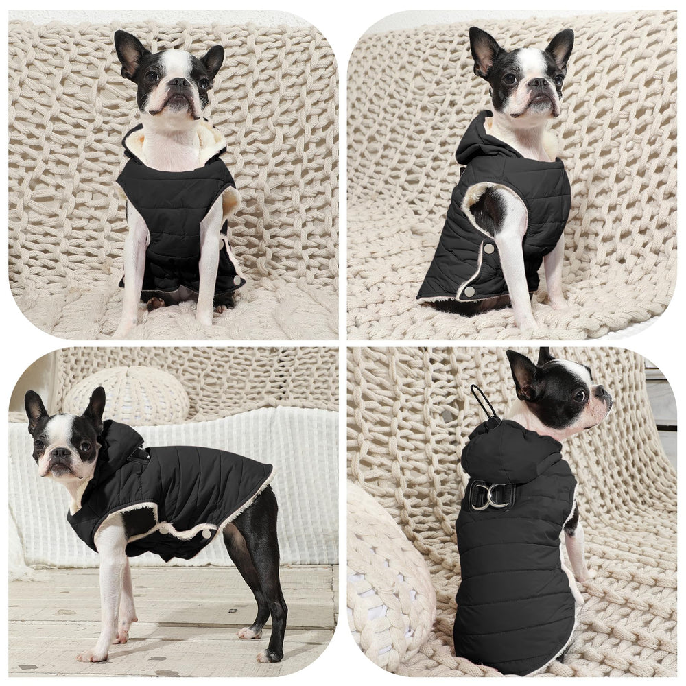 Vecomfy windproof outer shell protecting a dog during winter walks.