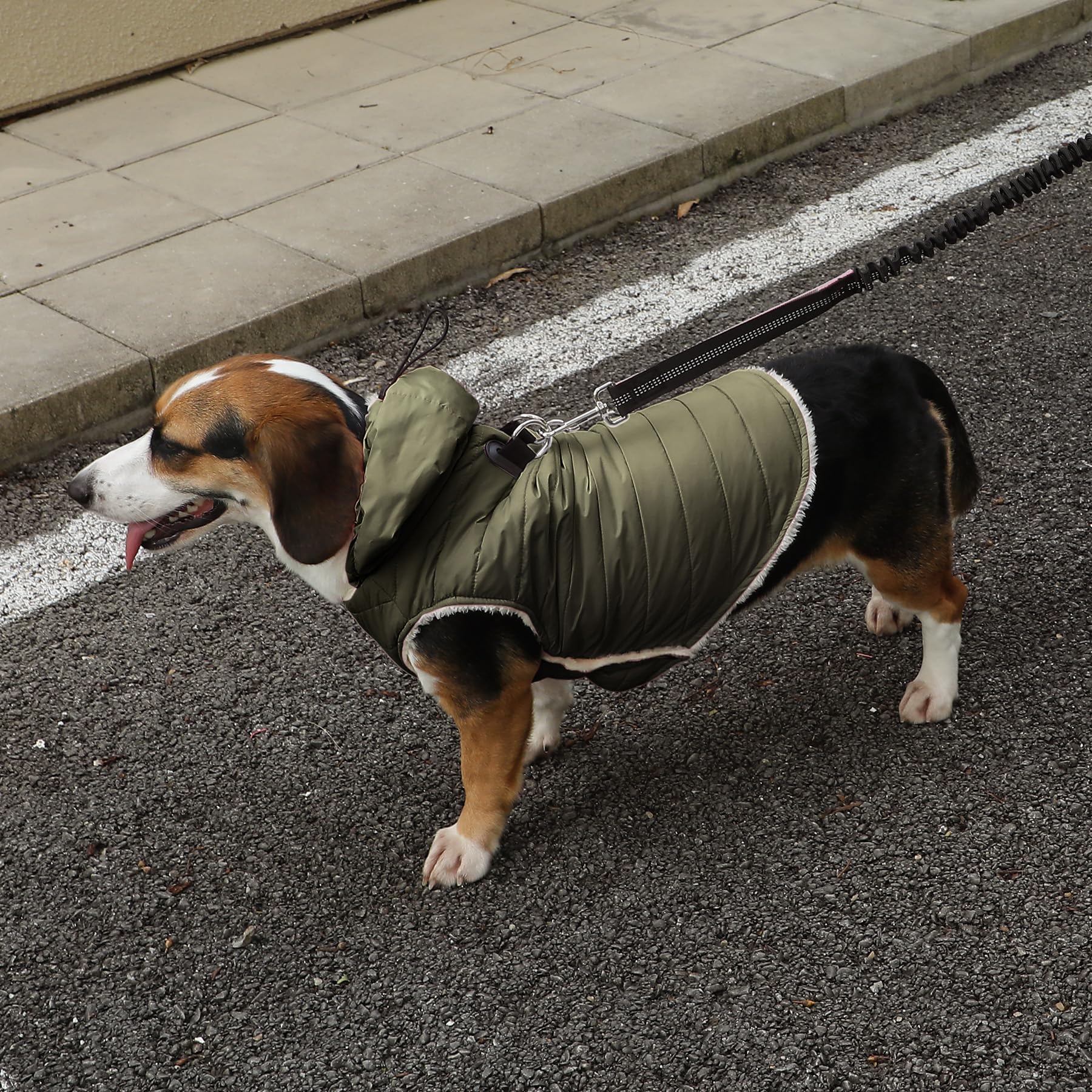 Vecomfy easy-on, snap-off design speeds dressing your pooch in winter.