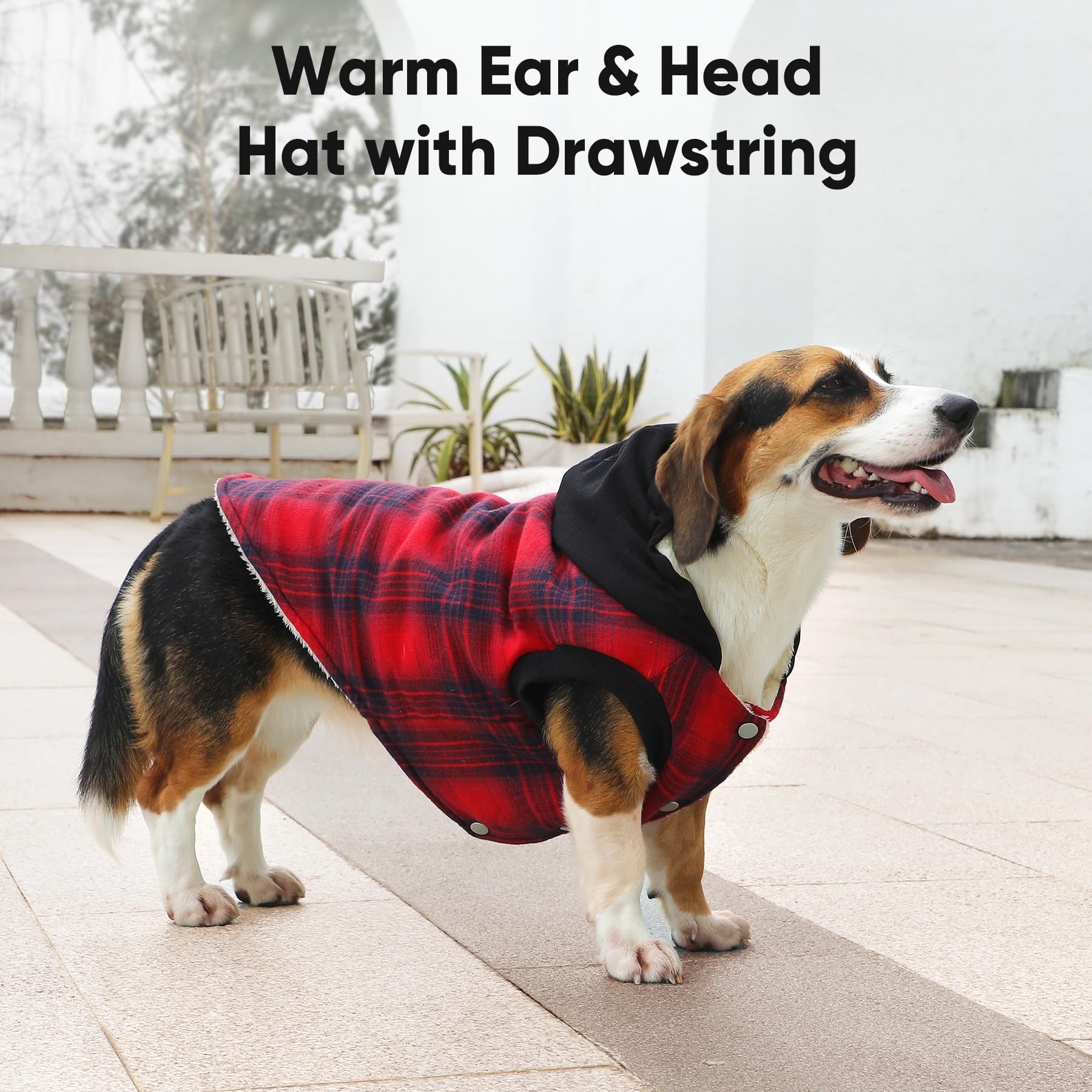 Vecomfy windproof plaid dog coat keeps a chill at bay during walks.
